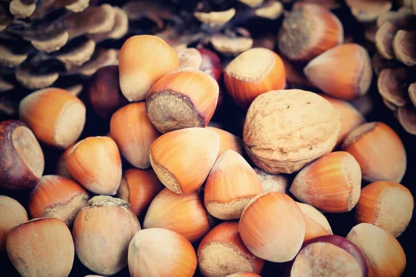 Funghi Biologici Freschi Uno Sfondo Legno — Foto Stock