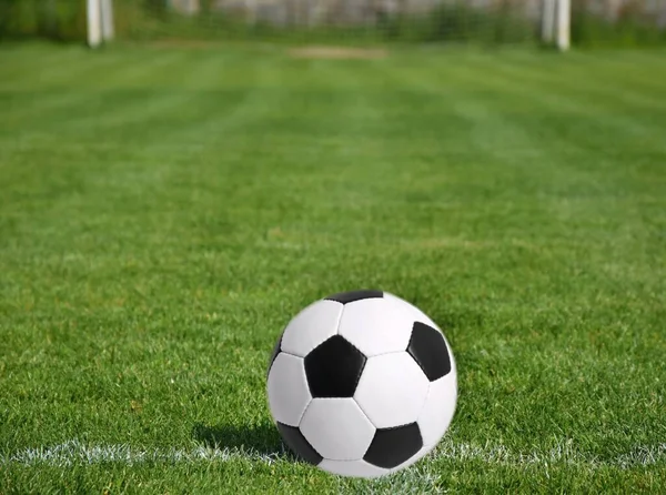 soccer ball on the green grass