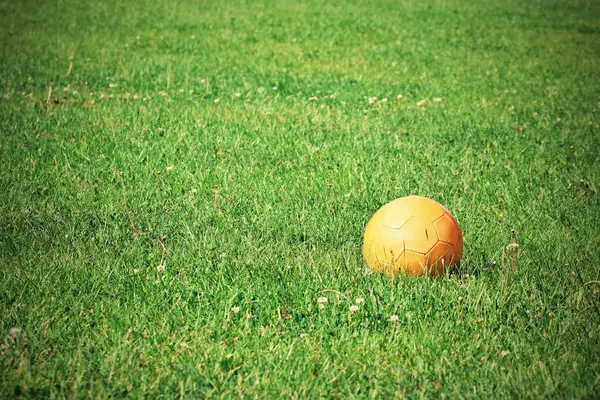 Frischer Oranger Ball Auf Grünem Rasen — Stockfoto