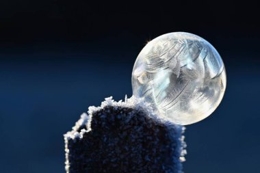 Doğadaki donmuş baloncuk. Kışın doğanın güzel bir makro çekimi. Çevre, su ve don kavramı.