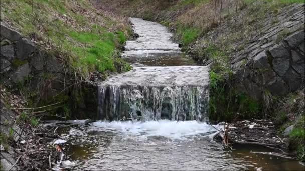 Медленное Движение Поток Текущей Водой Природа Весной Сельской Местности Лицензионные Стоковые Видеоролики