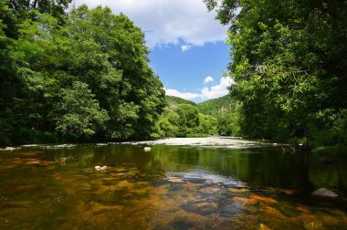 Beautiful landscape with summer nature. Jihlava River Valley - South Moravia - Czech Republic.