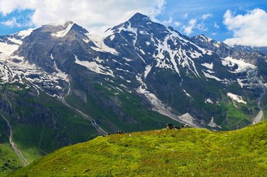Grossglockner yüksek dağ yolu Avusturya 'da. Dağlar ve yeşil ormanlarla çevrili. Alplerdeki doğa manzarası. Spor, dinlenme ve açık hava aktiviteleri için harika bir yer. Groglockner Avusturya 'nın en yüksek dağıdır..