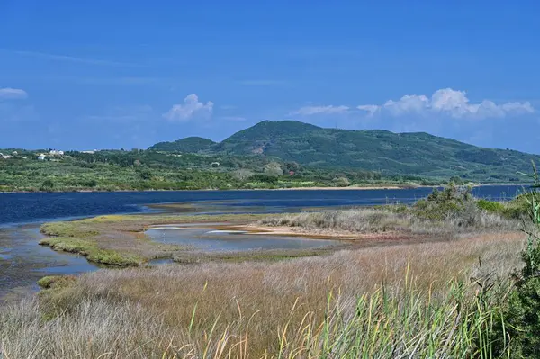 Korission Gölü Göl Manzarası, Korfu Adası, Yunanistan Pembe flamingo sürüsü, İyon Denizi Sahili ve Dağları.