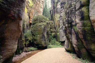 Adrıspanak - Rock kasabası. Doğa Parkı - Çek Cumhuriyeti. Ormandaki kumtaşı büyük taşlar ve kayalar. Sonbahar manzarası