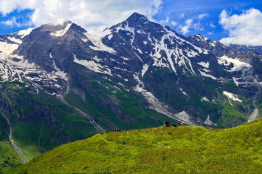 Grossglockner yüksek dağ yolu Avusturya 'da. Dağlar ve yeşil ormanlarla çevrili. Alplerdeki doğa manzarası. Spor, dinlenme ve açık hava aktiviteleri için harika bir yer. Grossglockner 3798 ile Avusturya 'nın en yüksek dağıdır. 