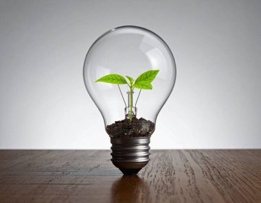 Ampulde küçük yeşil bir bitki. Çevre, sanayi ve doğada enerji kavramı 