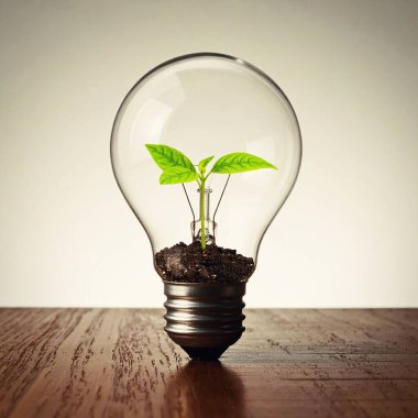 Ampulde küçük yeşil bir bitki. Çevre, sanayi ve doğada enerji kavramı 