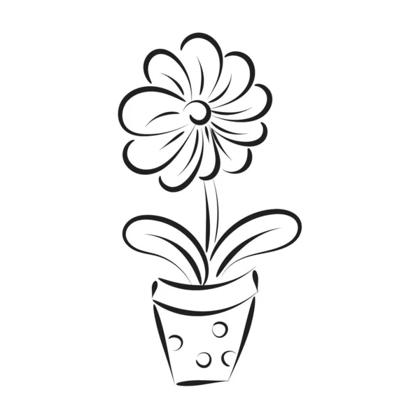 Vårblommor Pot Handritade Färg Trädgård Blommor För Tryck Eller Användning — Stock vektor