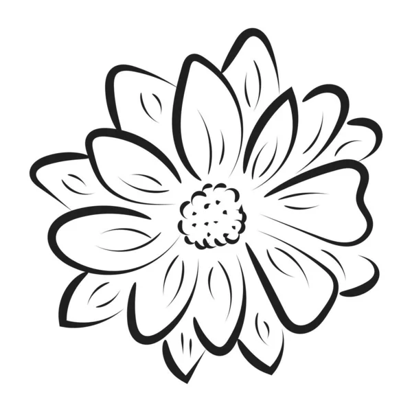 Esboço Simples Com Uma Flor Deixe Contorno Ilustração Vetorial Desenhado — Vetor de Stock