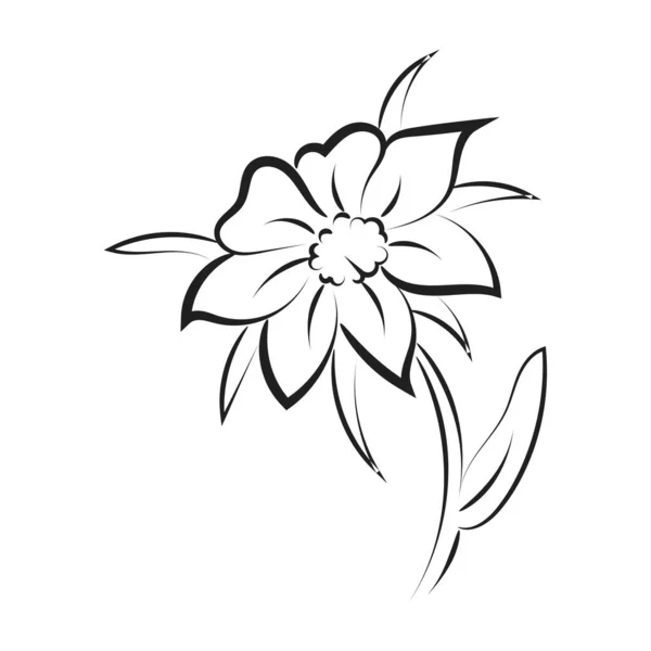 Croquis Simple Avec Une Fleur Laisser Une Illustration Vectorielle Dessinée — Image vectorielle