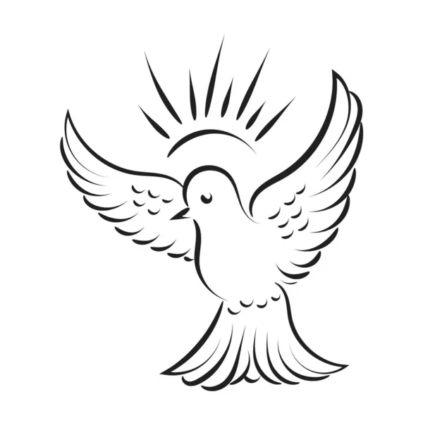 Pentecost Κυριακή Περιστέρι Εικονογράφηση Διάνυσμα Λογότυπο Για Εκτύπωση Χρήση Αφίσα — Διανυσματικό Αρχείο
