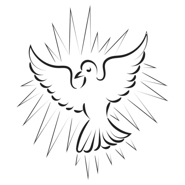 Ilustración Del Vector Del Logotipo Paloma Del Domingo Pentecostés Para — Vector de stock