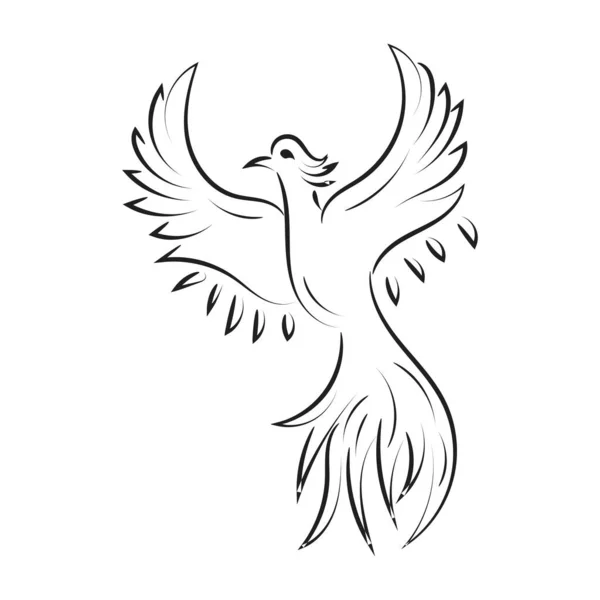 美しくエレガントなフェニックスタトゥーのアイデアはインスピレーション 黒と白 Phoenix Tribal Tattooデザイン — ストックベクタ