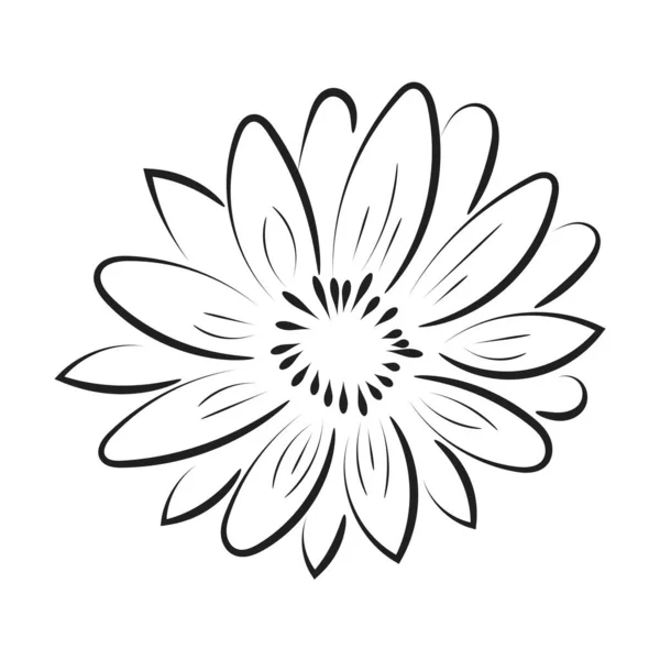 花や葉がプリント用に輪郭を描きます 手描きの春の花や植物の花束 — ストックベクタ