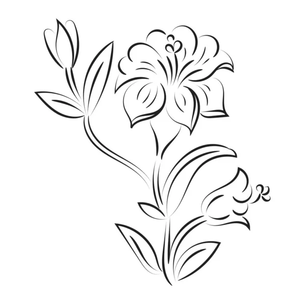 Fleurs Feuilles Contour Pour Imprimer Bouquet Fleurs Plantes Printanières Dessinées — Image vectorielle