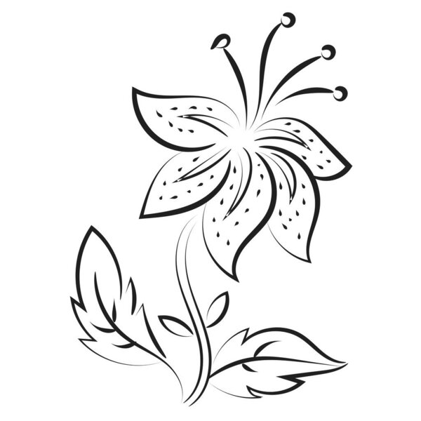 Flowers and leaves outline for print. Bouquet of hand-drawn spring flowers and plants