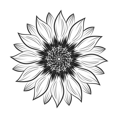 Ayçiçeği Dış Hattı, Ayçiçeği Çizgisi Sanat, Çiçek Çizimi, Siyah beyaz ayçiçeği vektör çizimi
