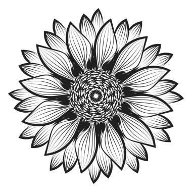 Ayçiçeği Dış Hattı, Ayçiçeği Çizgisi Sanat, Çiçek Çizimi, Siyah beyaz ayçiçeği vektör çizimi