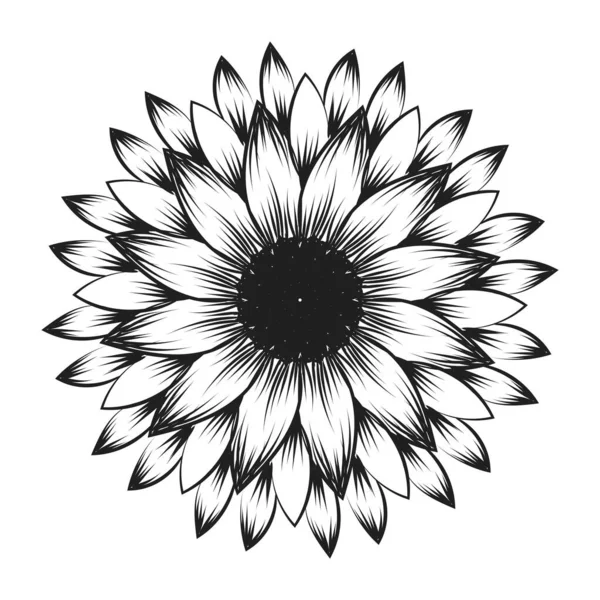 Desenho Girassol Arte Linha Girassol Desenho Linha Floral Preto Branco — Vetor de Stock