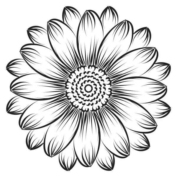 Girasole Outline Sunflower Line Art Floral Line Drawing Illustrazione Vettoriale — Vettoriale Stock