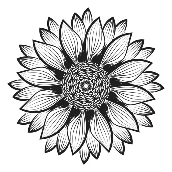 Desenho Girassol Arte Linha Girassol Desenho Linha Floral Preto Branco — Vetor de Stock