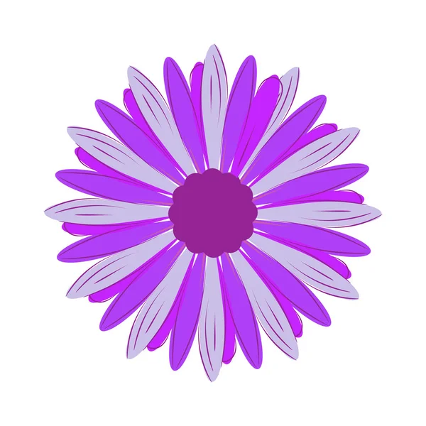 Dessin Floral Line Illustration Vectorielle Tournesols Noir Blanc — Image vectorielle