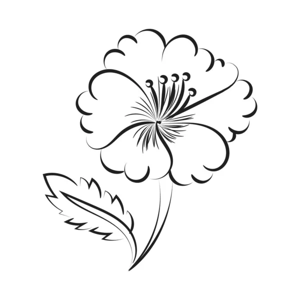 Flower Line Art Печати Использования Качестве Плаката Открытки Флаера Футболки — стоковый вектор