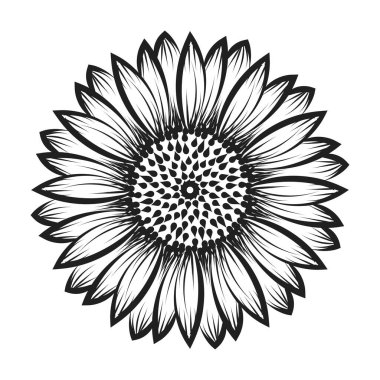 El çizimi çiçek çizimi çizimi. 