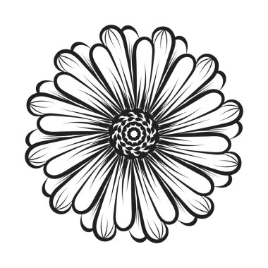 Renklendirme sayfaları için çiçek satırı sanatı