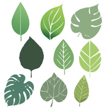 Yeşil Yaprak Silüeti Simgesi Minimalist Botanik Tasarım Elementleri