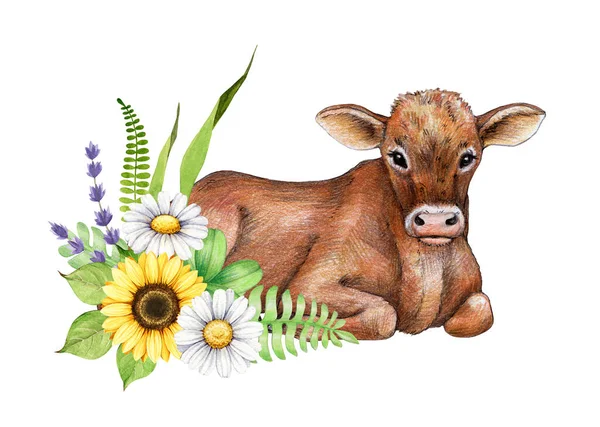 可爱的小牛犊 装饰着花朵 水彩画手绘插图 可爱的奶牛宝宝 有春天的菊花 向日葵 薰衣草 白色背景花朵的新生小牛犊 — 图库照片