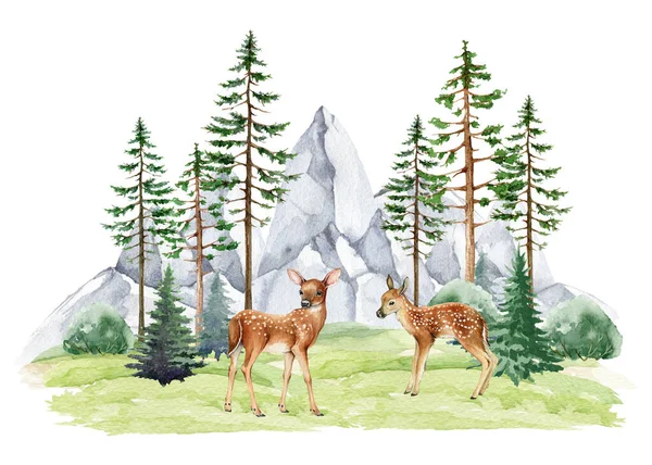 Small fawns in nature forest landscape scene. Watercolor illustration. Two baby deers standing in northern wildlife forest. Couple of fawns in wild nature in pines, bushes, rocky mountain range scene.