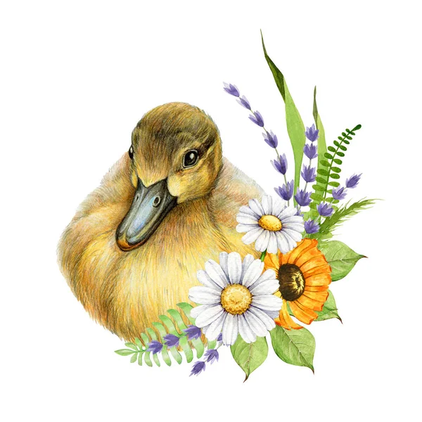Małe Kaczątko Wiosennym Wystrojem Kwiatowym Ilustracja Akwareli Cute Mały Ptaszek — Zdjęcie stockowe