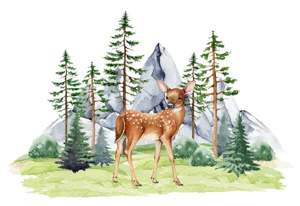 Small fawn in nature wildlife forest landscape scene. Watercolor illustration. Baby deer standing in northern forest. Deer fawn in wild nature between pines, bushes, rocky mountain range background.
