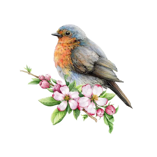 Vintage Stylu Robin Ptak Przetargu Kwiaty Ilustracji Ręcznie Rysowany Śpiewający — Zdjęcie stockowe
