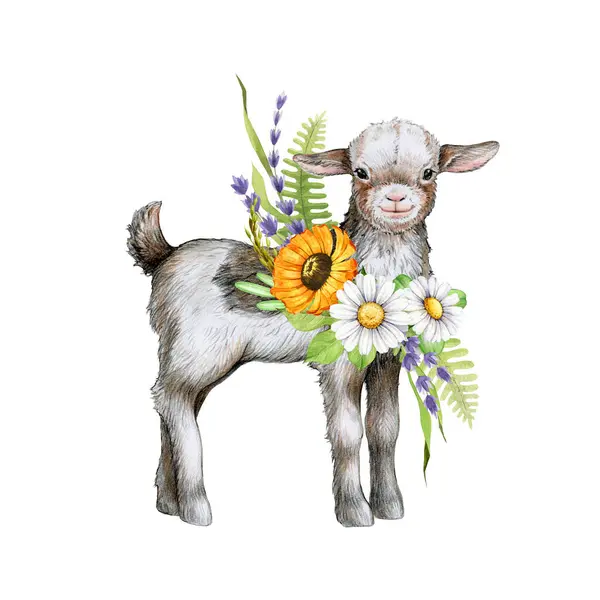Small funny goat with flower rustic style decor. Watercolor illustration. Hand drawn cute farm domestic with summer floral decoration. Vintage style illustration. White background.
