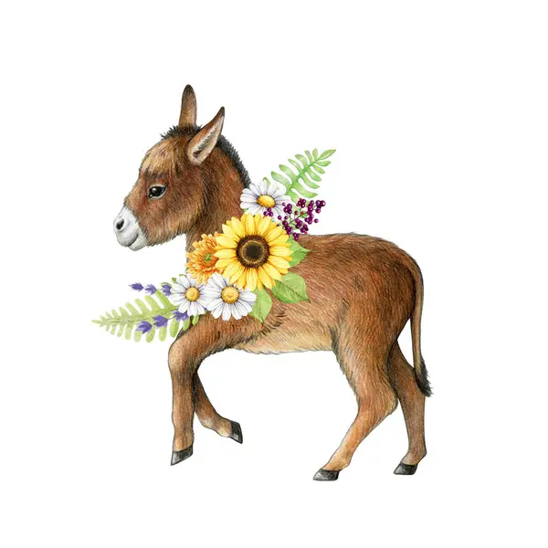 Funny small donkey with flower decor. Watercolor illustration. Hand drawn cute farm domestic animal with summer flowers decoration. Vintage style illustration. White background.