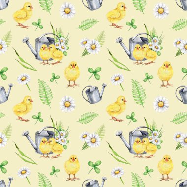 Çiçekli küçük sarı piliçler. Bahar zamanı kusursuz desen. Suluboya çizimi. Paskalya baharı, beyaz papatya çiçekleri, yeşil yapraklar, çimenler ve küçük civcivlerle kusursuz desen..