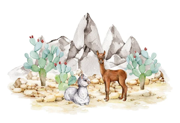 Két Láma Állat Sziklás Sivatagi Tájon Akvarell Illusztráció Kézzel Rajzolt — Stock Fotó