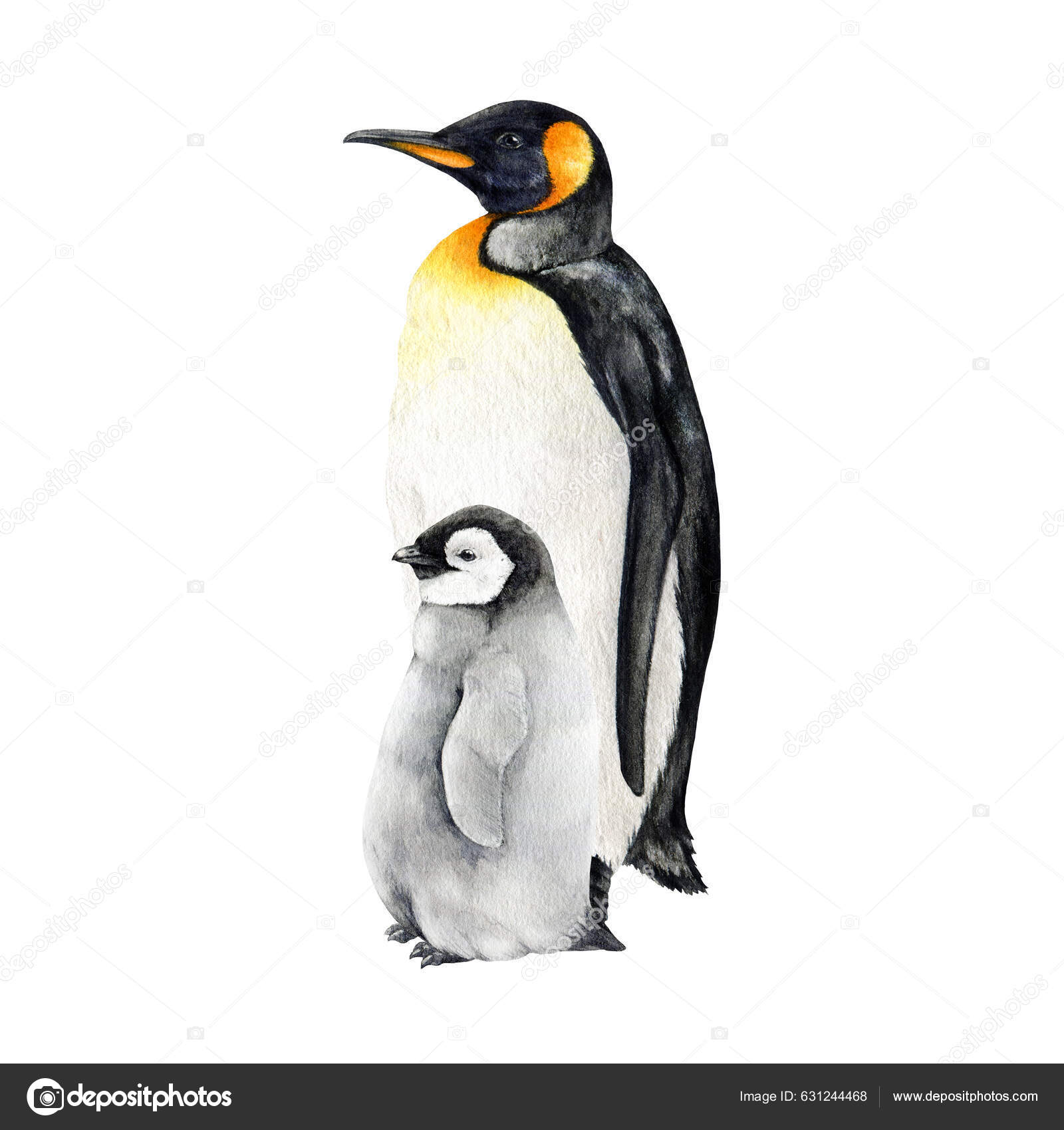 How to Draw a Penguin: Cartoon and Realistic Guides | Skip To My Lou