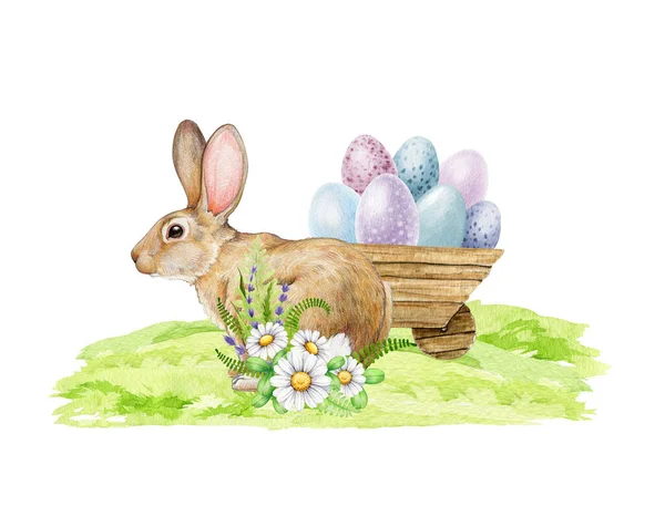 Osterhase Mit Bunten Eiern Blumen Auf Dem Grünen Gras Aquarell — Stockfoto