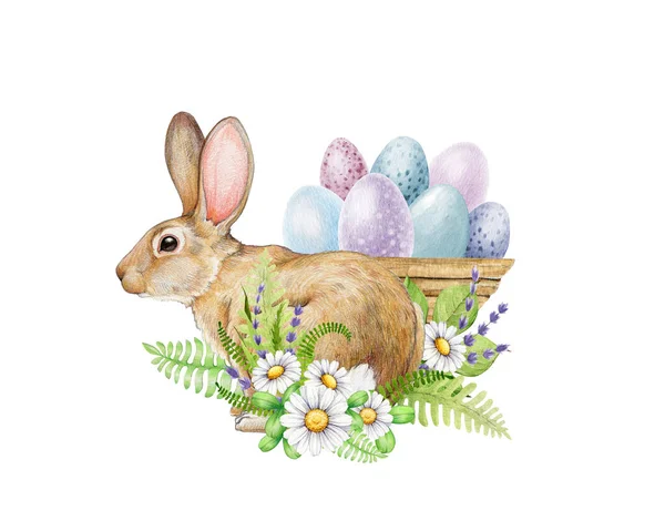 花の装飾 着色された卵とイースターバニー 水彩イラスト かわいいウサギ デイジーな花 緑の葉 塗られた卵の装飾 イースターバニーのお祝いの装飾 白い背景 — ストック写真