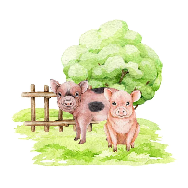Söta Små Grisar Det Gröna Gräset Landsbygdsscen Akvarell Illustration Handritade — Stockfoto