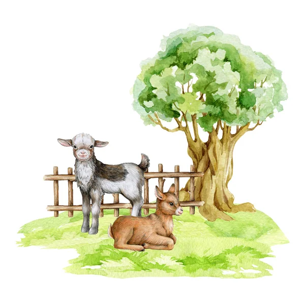 Goats on the green grass under the tree. Countryside landscape scene. Hand drawn illustration. Couple of farm domestic animals. Cute little goats standing and resting on the field. White background.