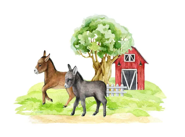 Cute donkeys in the farm landscape scene. Watercolor illustration. Donkey farm domestic animal on the meadow, with the tree, fence and red barn behind. Vintage style illustration. White background.
