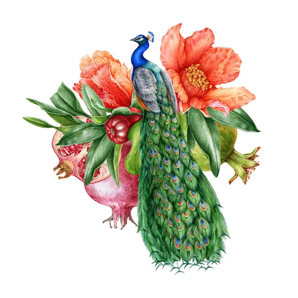 果物と花が付いているピーコック 水彩イラスト ザクロの花 果実の装飾が付いている美しいエキゾチックな鳥 ピーコックの明るい装飾的な要素 ホワイトバック — ストック写真