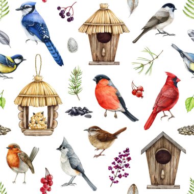 Doğal elementleri olan bahçe köyü kuşları. Suluboya çalı, Jay, Robin Illustration. El çizimi küçük orman vahşi kuşlar, doğal elementler, kuş yuvası, beyaz arka planda besleyici.