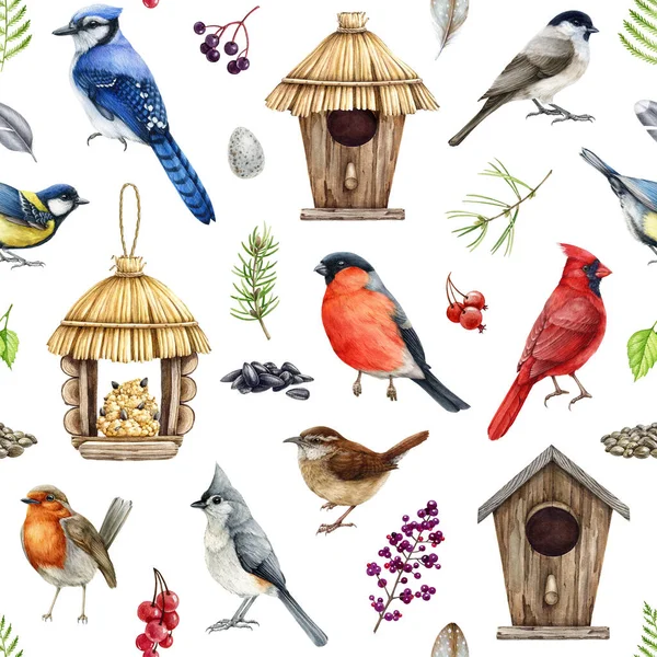 庭の村の鳥は自然な要素のシームレスなパターンを備えています ウォーターカラーレン ジェイ ロビンイラスト 手描きの小さな森の野生の鳥 自然の要素 鳥小屋 白い背景の送り装置 — ストック写真