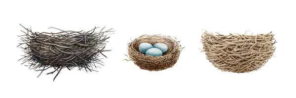 Ptačí Hnízdo Akvarel Ilustrační Sada Ručně Tažená Různá Ptačí Hnízda — Stock fotografie